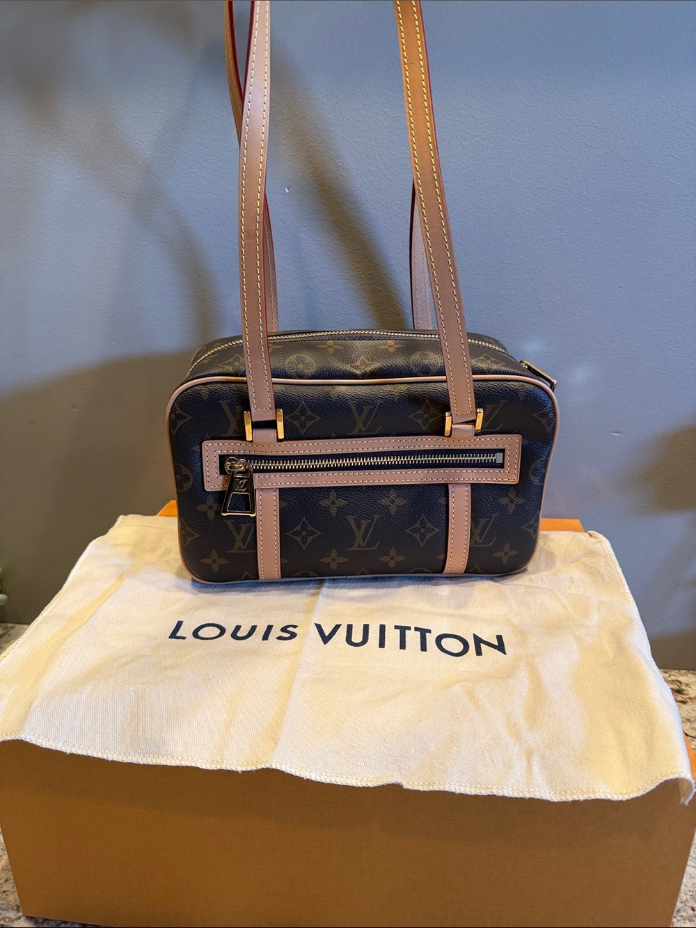 NWT! Louis Vuitton Monogram Canvas Cite Bag